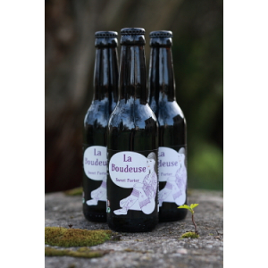 Carton de 12 bières brunes