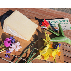 Cantal  aop fermier jeune