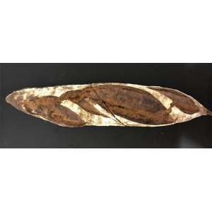 Pain bis bio t110 400gr