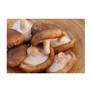 Shiitake