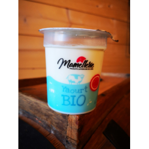 Yaourt nature