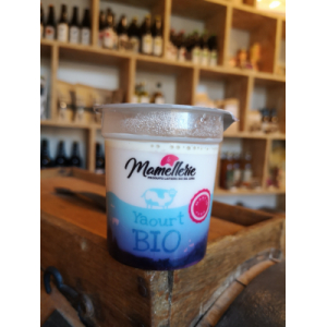 Yaourt sur lit de fruits