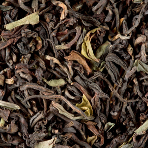 Darjeeling jungpana (dammann frère)