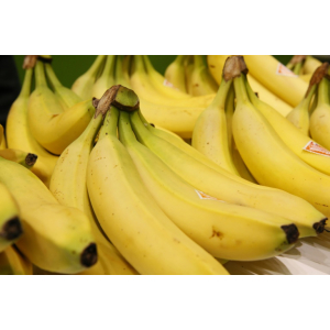 Banane  cavendish