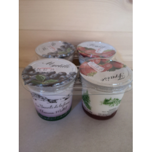 Yaourts 2 myrtilles, 2 fraises