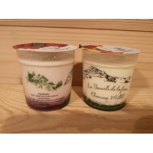 X6 yaourts aux fruits (f,f,a,p,m,p)