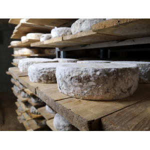 Tomme fermière