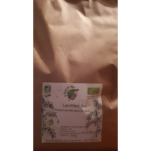 Lentilles vertes bio 5 kg