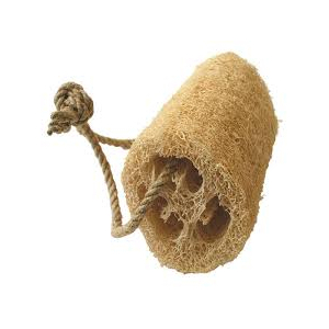 Eponge courge luffa