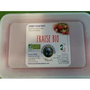 Sorbet framboise plein fruit