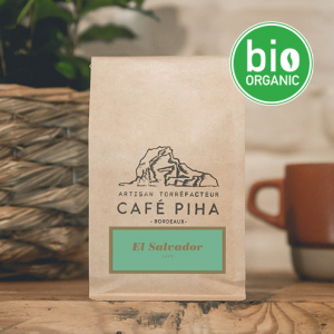 El salvador oasis 1kg grain