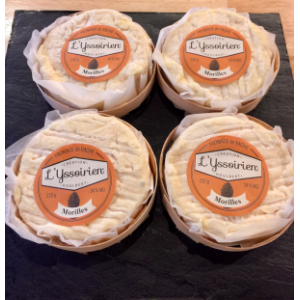 L'yssoirien aux morilles