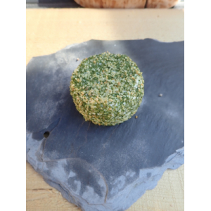 Crottin enrobé 'ail et fines herbes