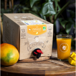 Jus de mangue bio - nectar artisanal