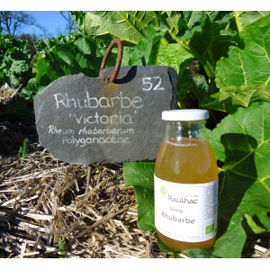 Sirop rhubarbe -achat solidaire bio