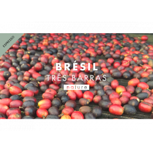 Café grain brésil
