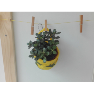 Sac de plante jaune avec plante