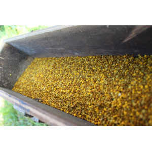 Pollen frais décongelé