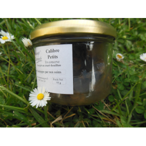 Escargots environ 5 dz calibre petit