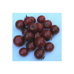 Tomate cerise black cherry