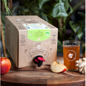 Jus de pomme gingembre bio