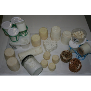 Plateau de fromages du moment