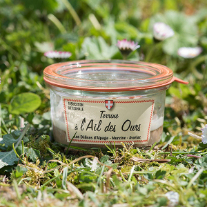 Terrine ail des ours