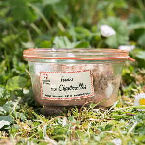 Terrine artisanale chanterelles