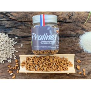 Praline de tournesol