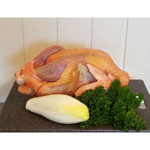 Pintadeau élevé en plein air