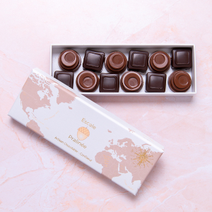 Coffret 10 chocolat pralinés véganes