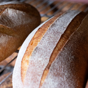 Pain au khorasan 700g