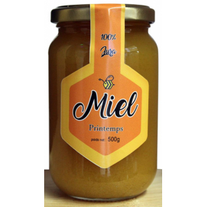 Miel de printemps 500g