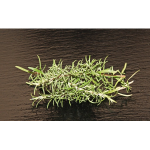 Huile brûle- graisse