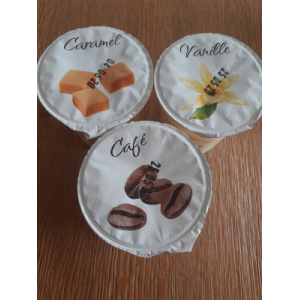 Lot de 2. yaourt aromatisé caramel