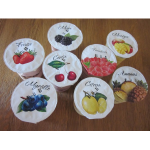 Lot de 2. yaourt aux fruits mangue
