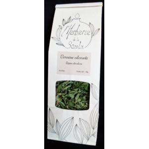 Verveine citronnée