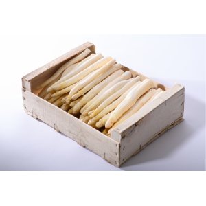 Asperge blanche courte