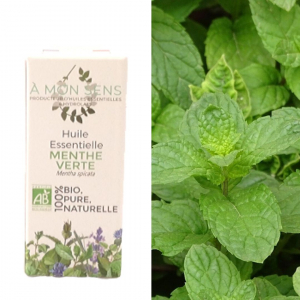 Huile essentielle de menthe verte
