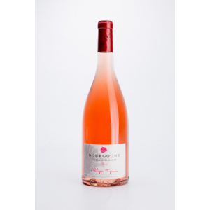 Côtes d'auxerre 2018