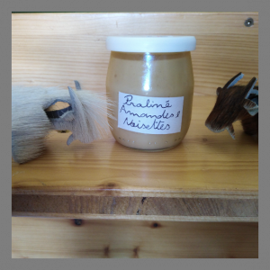 Crème dessert praliné noisettes/amandes