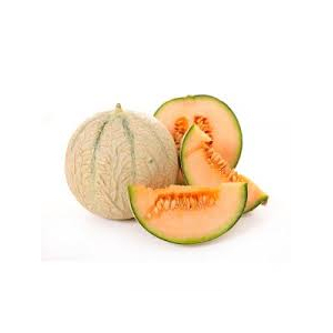 Sorbet melon 1 litre