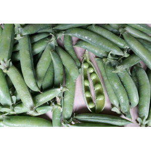 Petits pois à écosser