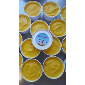 Glace yaourt-mangue 100g