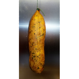Saucisse fumée trompettes s/sel nit