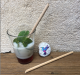 Paille coco ou bambou et goupillon - image 4