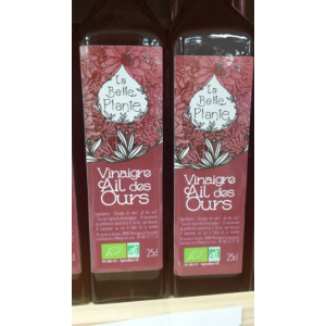Vinaigre ail des ours bio