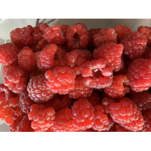 Framboise de revigny
