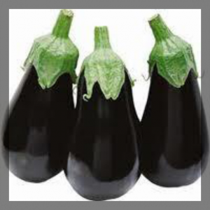 Aubergine
