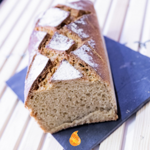 L'engrain de provence  (petit épeautre)